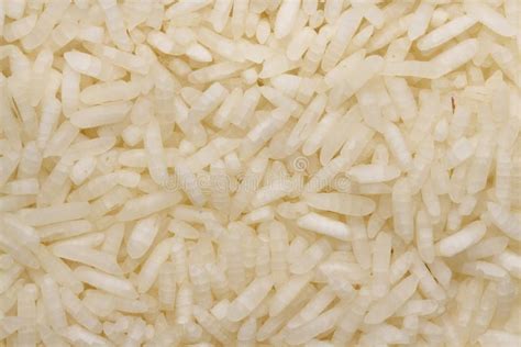 uncooked rice stock image image  food uncooked oriental