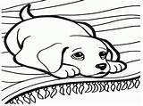 Coloring Dog Pages Bed Divyajanani sketch template