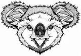 Koala Zentangle Animals Animal Tattoo Pages Coala Coloring Drawings Zentangles Pattern Spirit Behance Adult Desenho Grow Koalas Dover Publications Colouring sketch template