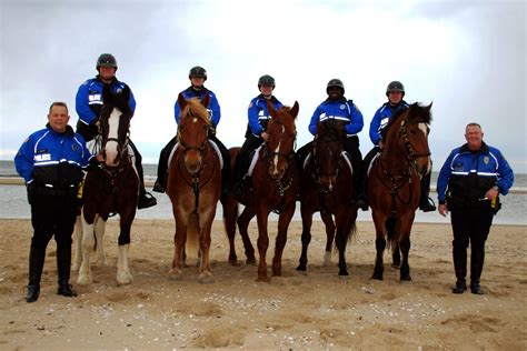 ocean city police mounted patrol unit expanding town  ocean city maryland