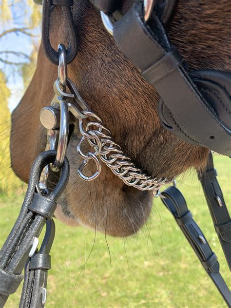 straps  curb chains forelock  load blog
