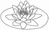 Coloring Lotus Pages Flowers Printable sketch template