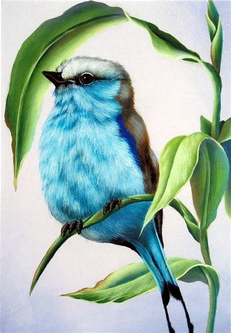 cute easy colored pencil drawings  important    pay
