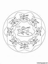 Pages Mandala Frog Coloring Frogs Pattern Sketch 1coloring sketch template