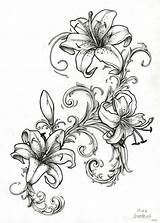 Lily Drawing Tiger Outline Tattoo Drawings Flower Tattoos Sleeve Water Lillies Lilly Designs Stargazer Sketch Lilies Flowers Quest Simple Line sketch template