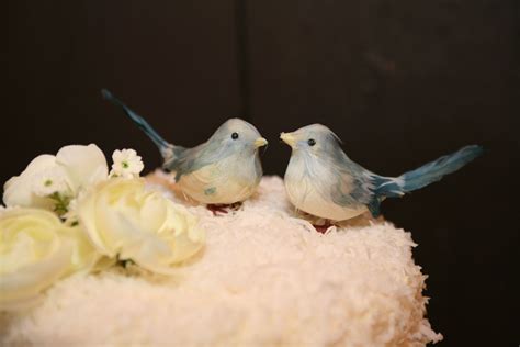 cake toppers wedding pinterest parrot cake toppers real life parrot bird parrots
