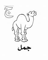 Arabic Alif Jeem Camel sketch template