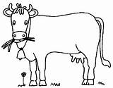 Cow Coloring Dairy Pages Draw Netart sketch template