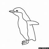 Penguin Coloring Baby Pages Penguins Animals Outline Online Thecolor sketch template