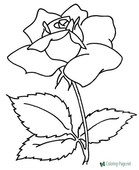 mothers day coloring pages  rose