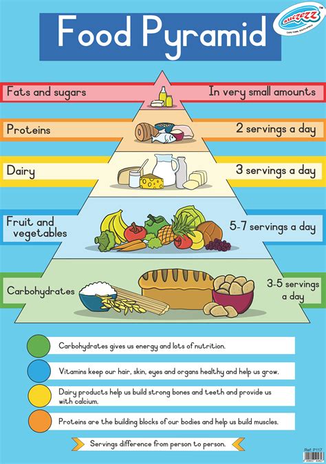 food pyramid laminated poster mm  mm educational toys
