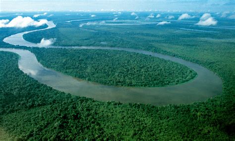 Brazil building Amazon observation tower to monitor climate change