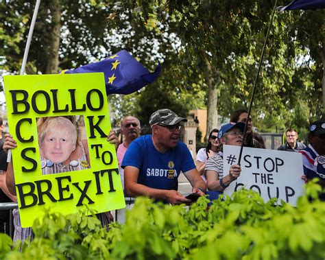 brexit     put   plebiscite    childish  demand   vote
