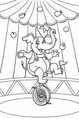 Circus Animal Coloring Pages Animals Ban Circuses Government Wild January Sheets Choose Board Elephant sketch template