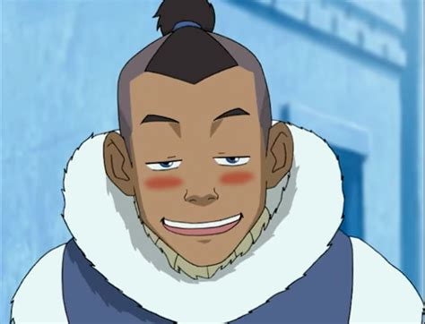 sokka is my emotional support character — happy last day of pride to