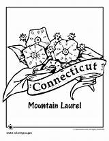 Coloring State Flower Pages Connecticut Carolina North Symbols Ohio Printable Getcolorings Flowers Color Laurel Mountain Kids sketch template