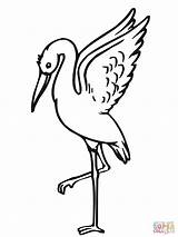 Stork Coloring Pages Storks Clipart Taking Off Drawings Printable Color sketch template