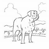 Bullmastiff Mastiff sketch template