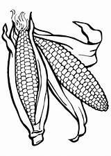 Corn Stalks sketch template