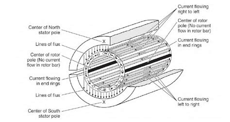 phase squirrel cage induction motor circuit diagramm zoya circuit