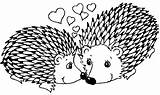 Arici Erizo Colorat Hedgehogs Planse Desene Imagini Plansa Erizos Animale Salbatice Ariciul Veverita Puercoespin sketch template