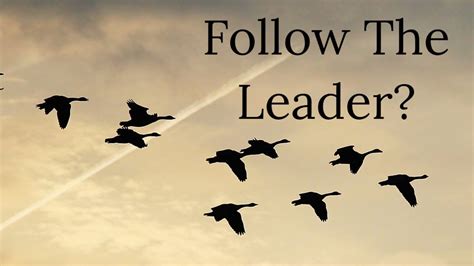 follow  leader youtube