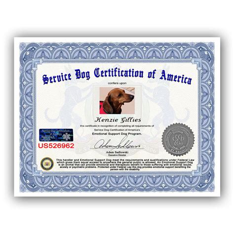 emotional dog certification tutoreorg master  documents