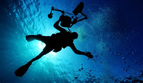 silhouette  person  scuba diving hd wallpaper wallpaper flare