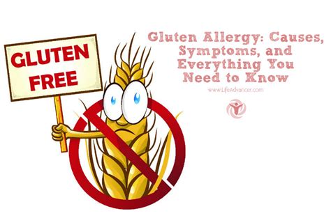 gluten allergy  symptoms