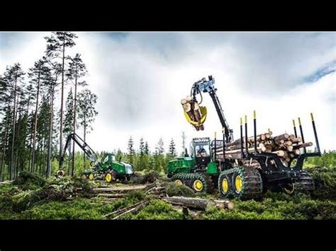 clearfelling forestry youtube