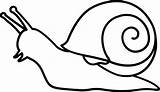 Snail Coloring Color Pages Getcolorings Printable Getdrawings sketch template