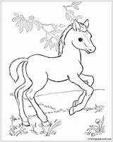 Horse Pages Baby Coloring Color Kids Print Adults sketch template