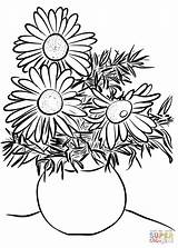 Coloring Daisies Pages Daisy Vase Drawing Printable Flower Flowers Getdrawings Supercoloring sketch template
