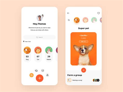 share  pet app  yanbin tan  ironsketch  dribbble web app design app app design layout
