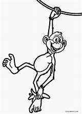Monkey Coloring Pages Printable Cool2bkids Kids sketch template
