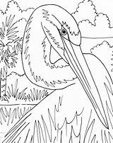 Coloring Egret Digital Heron Pattern Embroidery Pdf Adult Etsy Ocean Blue sketch template