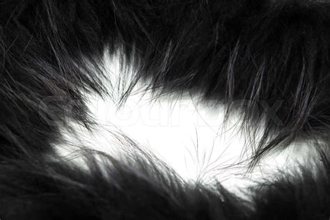 black fur  background stock photo colourbox