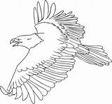 Eagle Coloring Pages Printable Kids Color Eagles Bald Flying Animal Bird sketch template