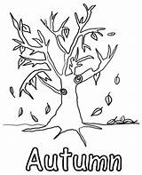 Autumn Coloring Leaves Colouring Pages Tree Logo Topcoloringpages A4 sketch template