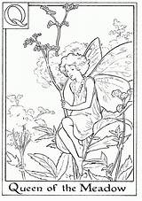 Fairies Colouring Meadow Fee Queens Barker Cicely 1125 Little sketch template