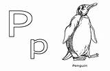 Penguin Willy Chilly sketch template
