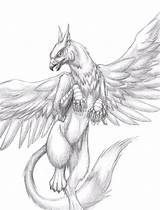 Griffin Gryphon Mythical Saij Mythological Pencil Griffon Greif Grifo Aves sketch template