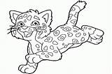 Jaguar Coloring Pages Baby Cartoon Color Drawing Diego Getdrawings Popular Sheets Print Coloringhome sketch template