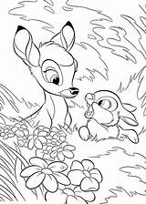 Bambi Thumper Bunny Template sketch template
