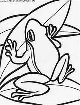 Frogs Leap Eyed Template Clipartmag Bestcoloringpagesforkids sketch template