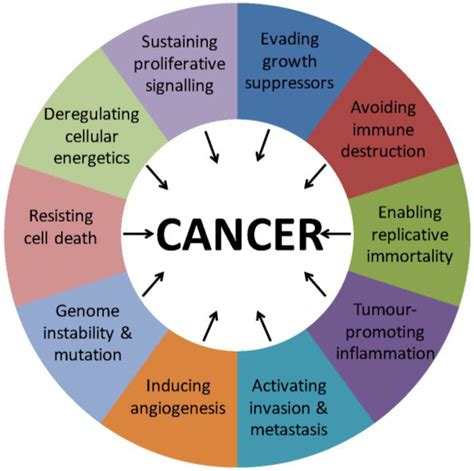 cancers  full text mechanisms  nuclear export  cancer  resistance  chemotherapy