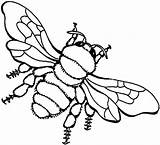 Biene Bienen Ausmalbilder Abeja Bees Insekten Malvorlagen Outline Colouring Kindergarten sketch template
