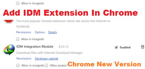 add idm extension  chrome  version