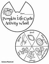 Pumpkin Cycle Life Craft Apple Lessons Science Green Bundle Activities Followers sketch template