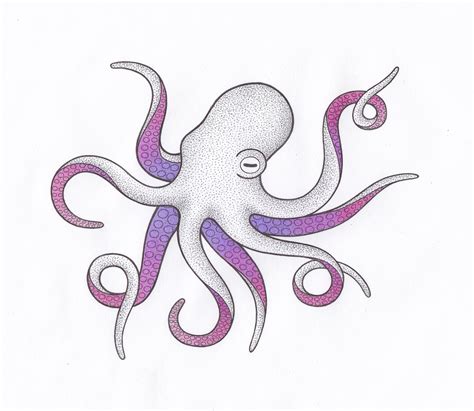 octopus drawing    check   httpswwwevmorenet